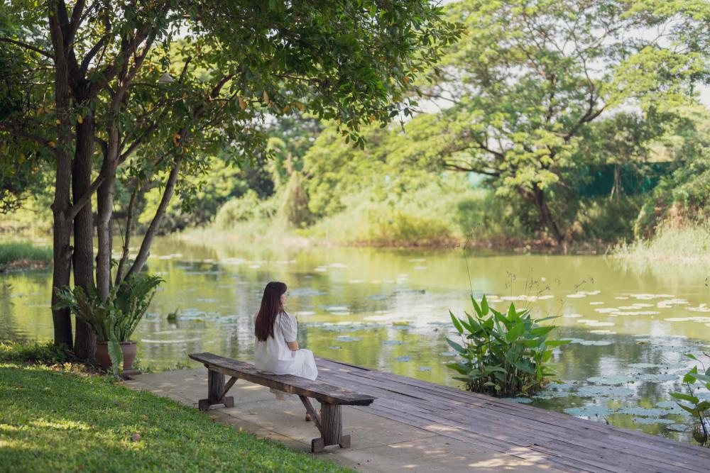 ไอเดียแต่งบ้านแต่งสวนธรรมชาติ