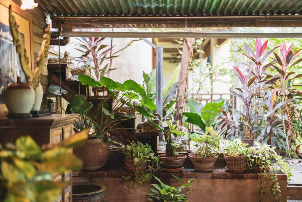 ไอเดียแต่งบ้านแต่งสวนธรรมชาติ