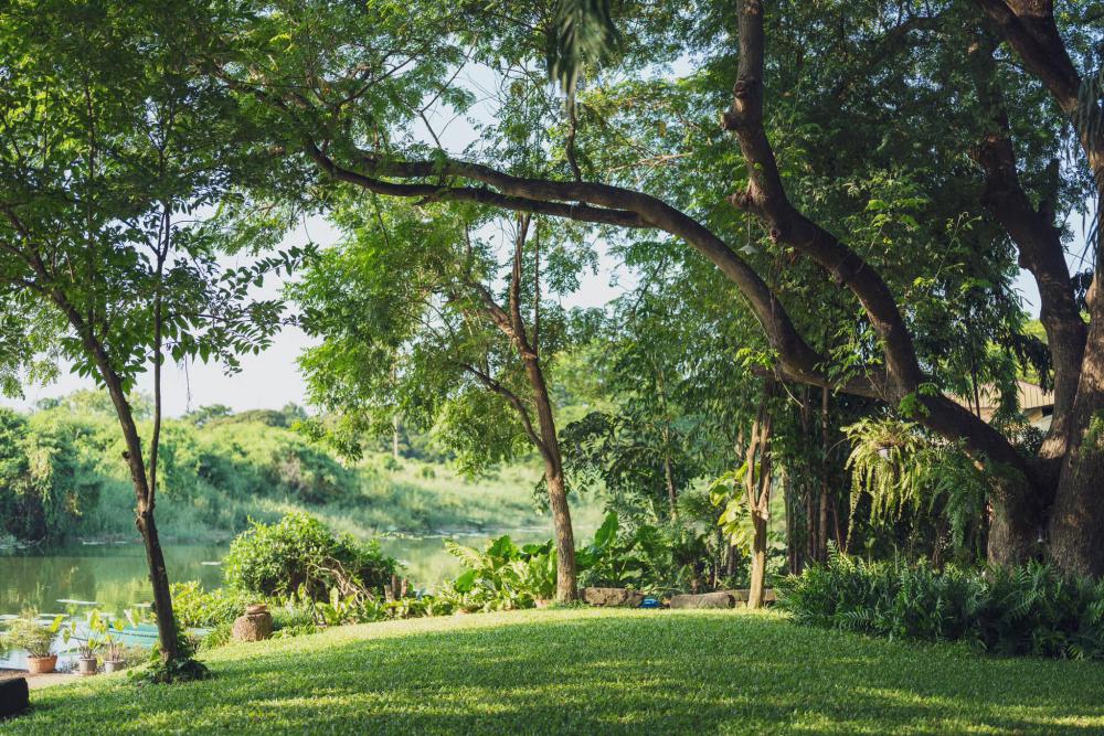 ไอเดียแต่งบ้านแต่งสวนธรรมชาติ