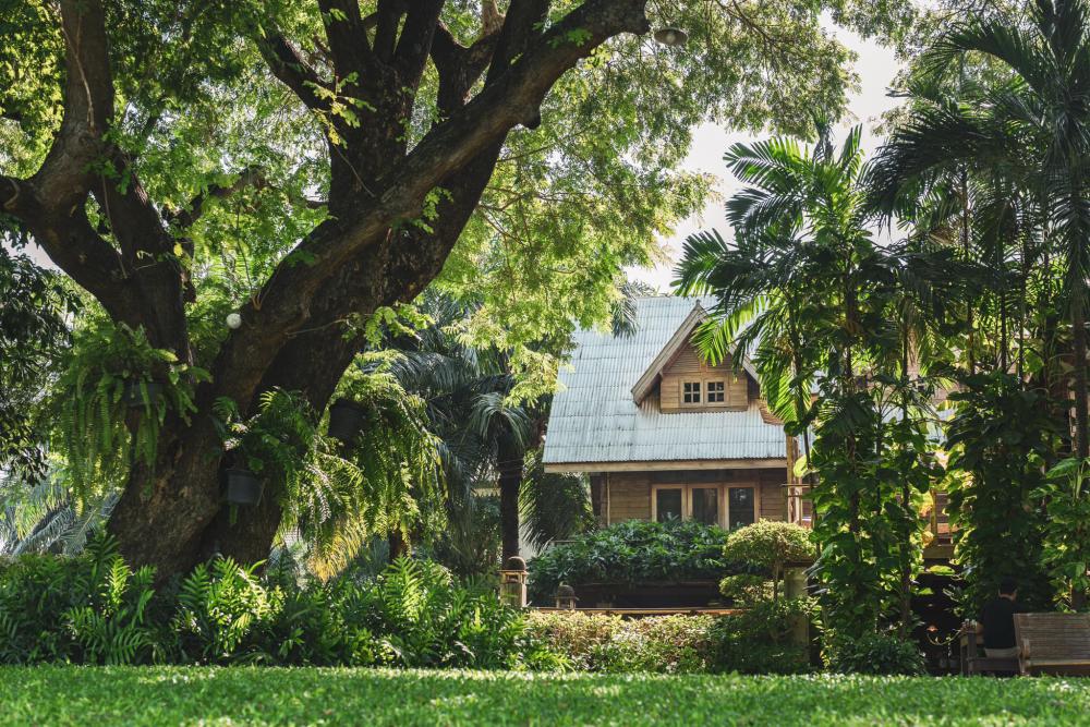 ไอเดียแต่งบ้านแต่งสวนธรรมชาติ