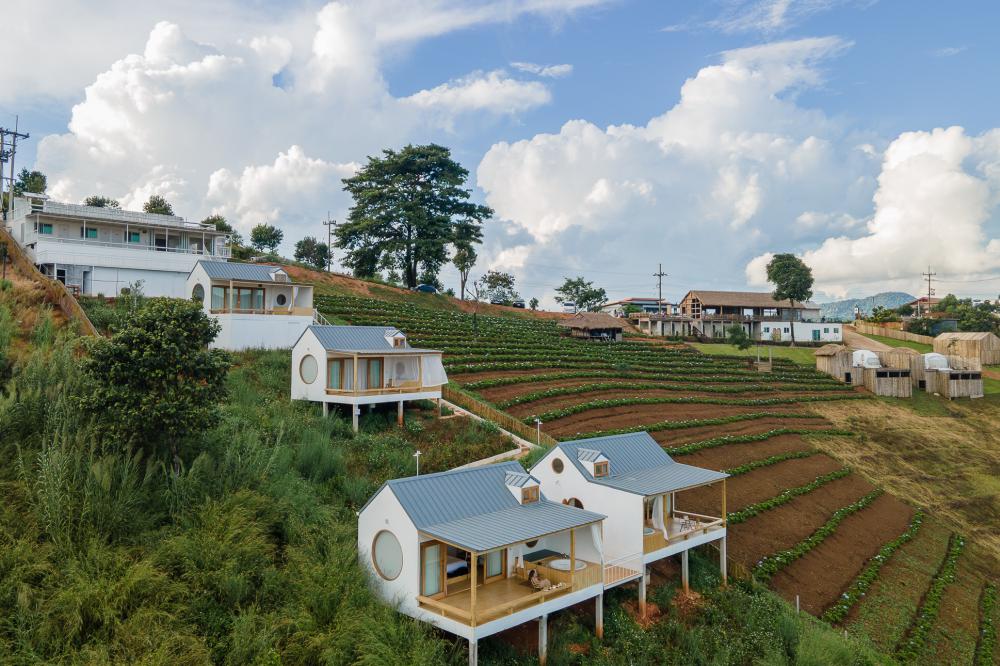 ไอเดียที่พักมินิมอล มินิใจ สไตล์บ้านญี่ปุ่น ลุงแบร์ วิลล่า