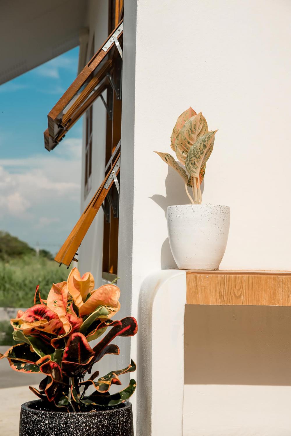 บ้านสไตล์มินิมอล ขนาด 2 ห้องนอน 2 ห้องน้ำ ด้วยงบ 1.1 ล้านบาท 