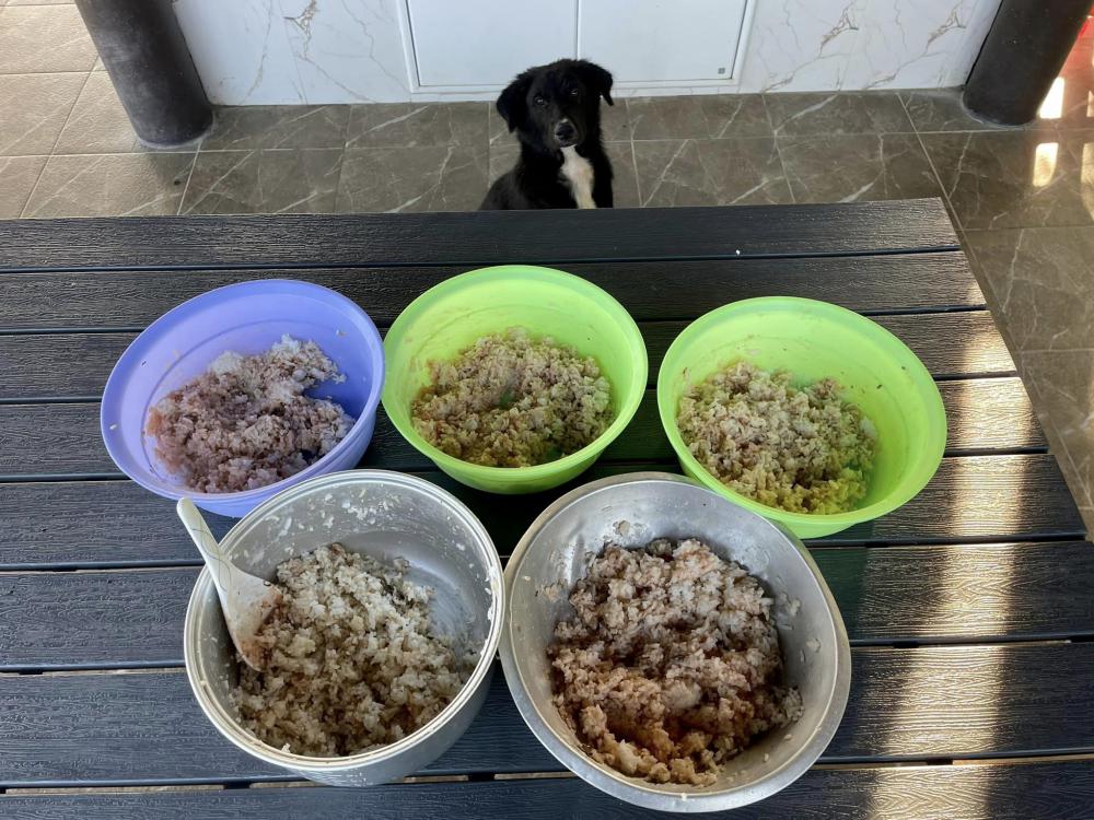 บ้านสวนคนเกษียณที่ทุ่งดินดำ