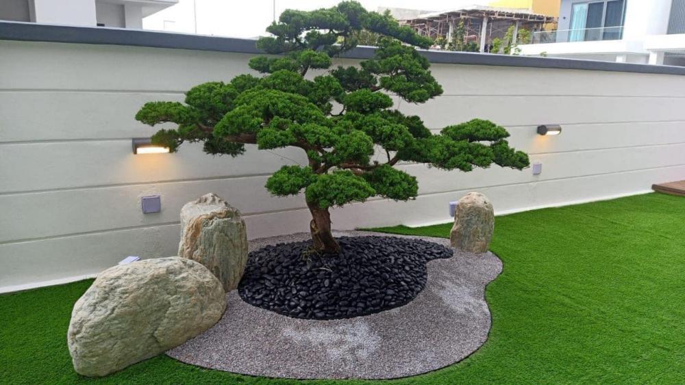 ไอเดียจัดสวนในบ้าน