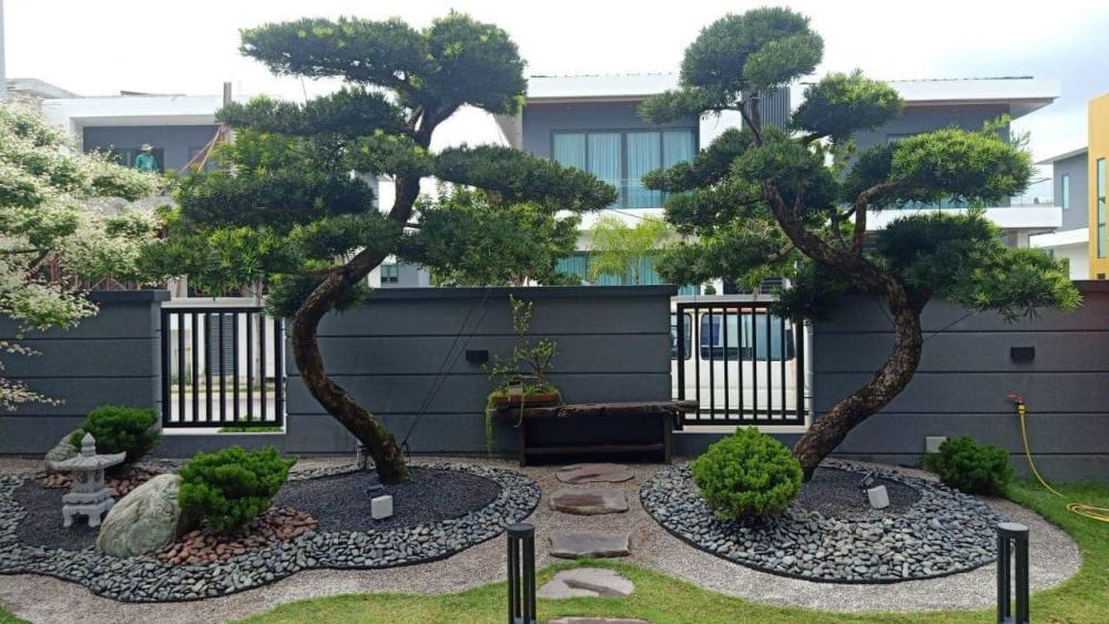 ไอเดียจัดสวนในบ้าน