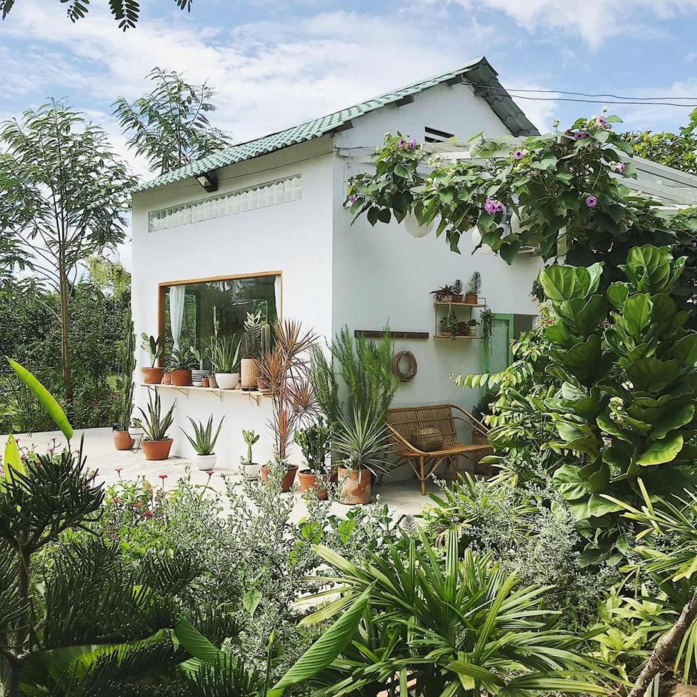 ไอเดียบ้านสวยหลังเล็ก ล้อมไปด้วยต้นไม้ดอกไม้ประดับและไม้สวน รูปที่ 11