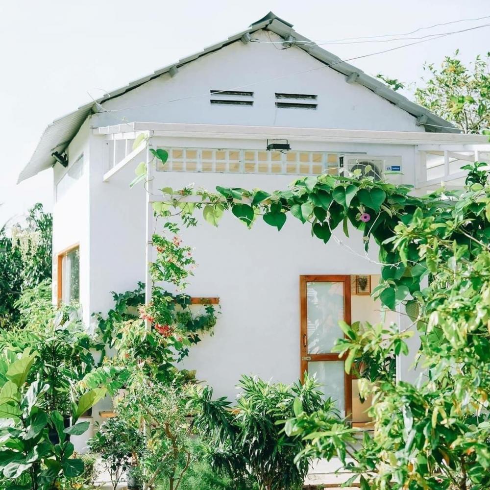 ไอเดียบ้านสวยหลังเล็ก ล้อมไปด้วยต้นไม้ดอกไม้ประดับและไม้สวน รูปที่ 12