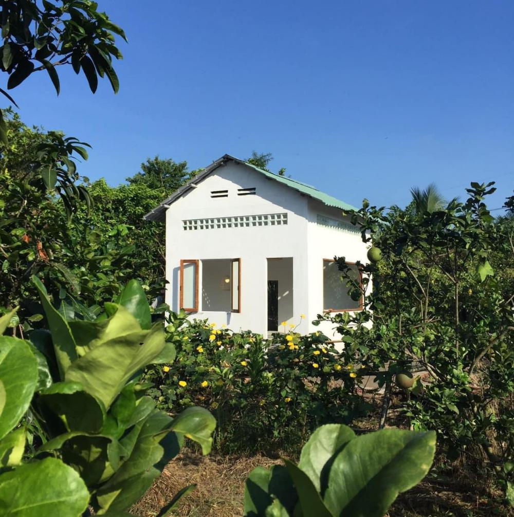 ไอเดียบ้านสวยหลังเล็ก ล้อมไปด้วยต้นไม้ดอกไม้ประดับและไม้สวน รูปที่ 14