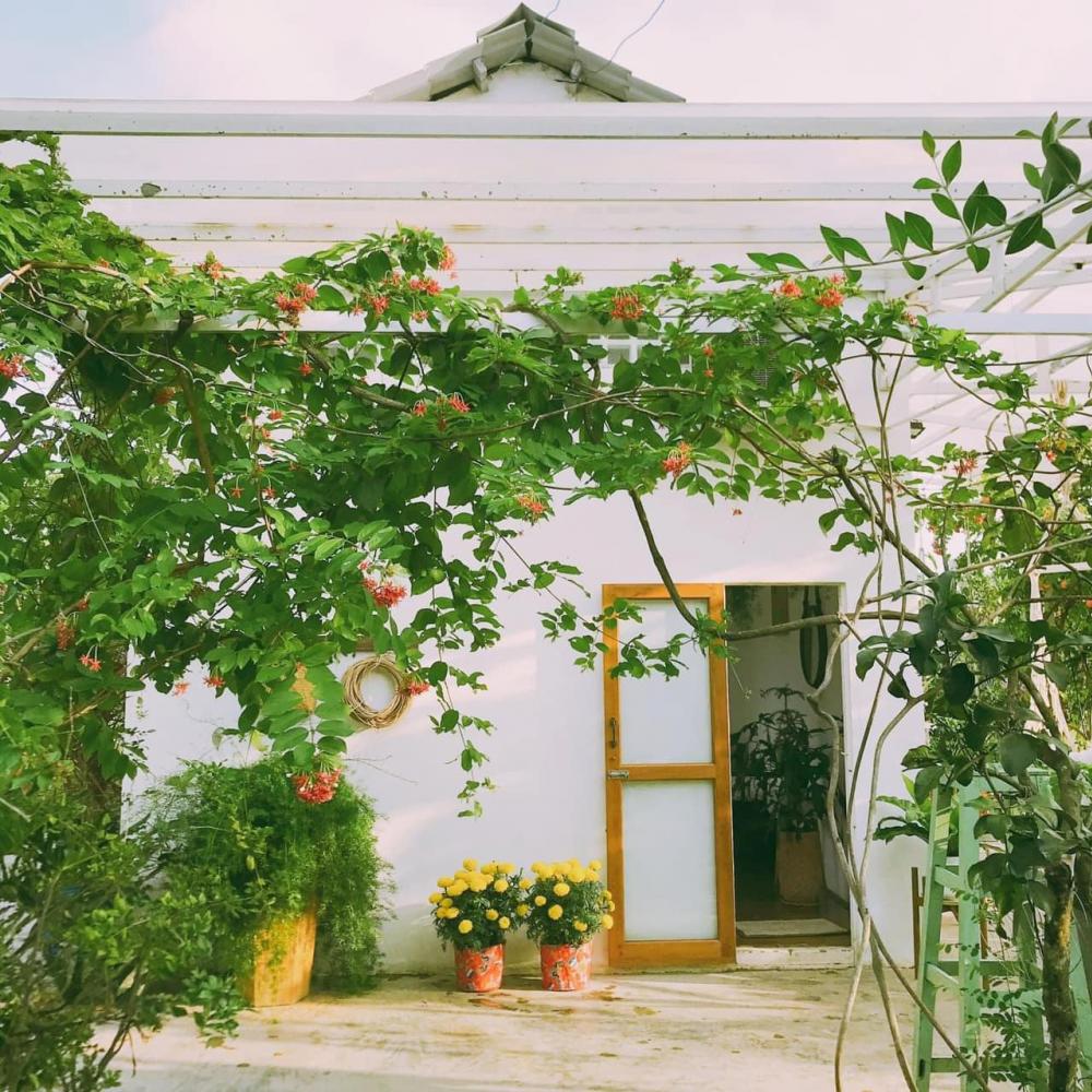 ไอเดียบ้านสวยหลังเล็ก ล้อมไปด้วยต้นไม้ดอกไม้ประดับและไม้สวน รูปที่ 9