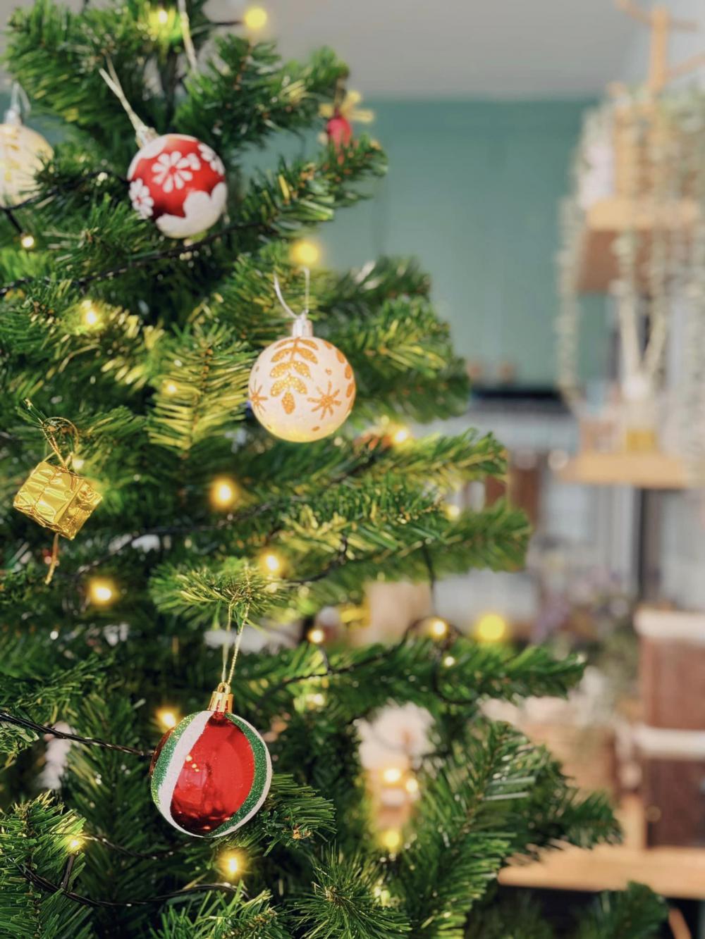 อวดบ้านคริสต์มาส 2566 รูปที่ 12