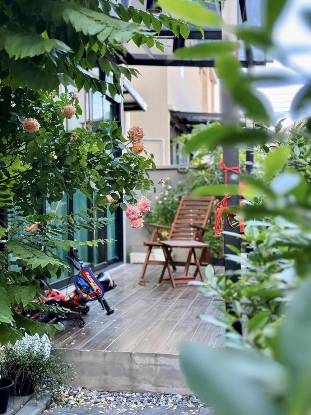 อวดบ้านคริสต์มาส 2566 รูปที่ 19