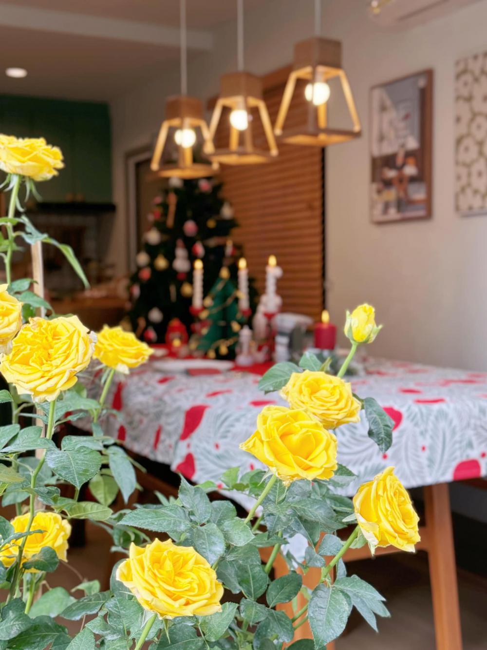 อวดบ้านคริสต์มาส 2566 รูปที่ 5