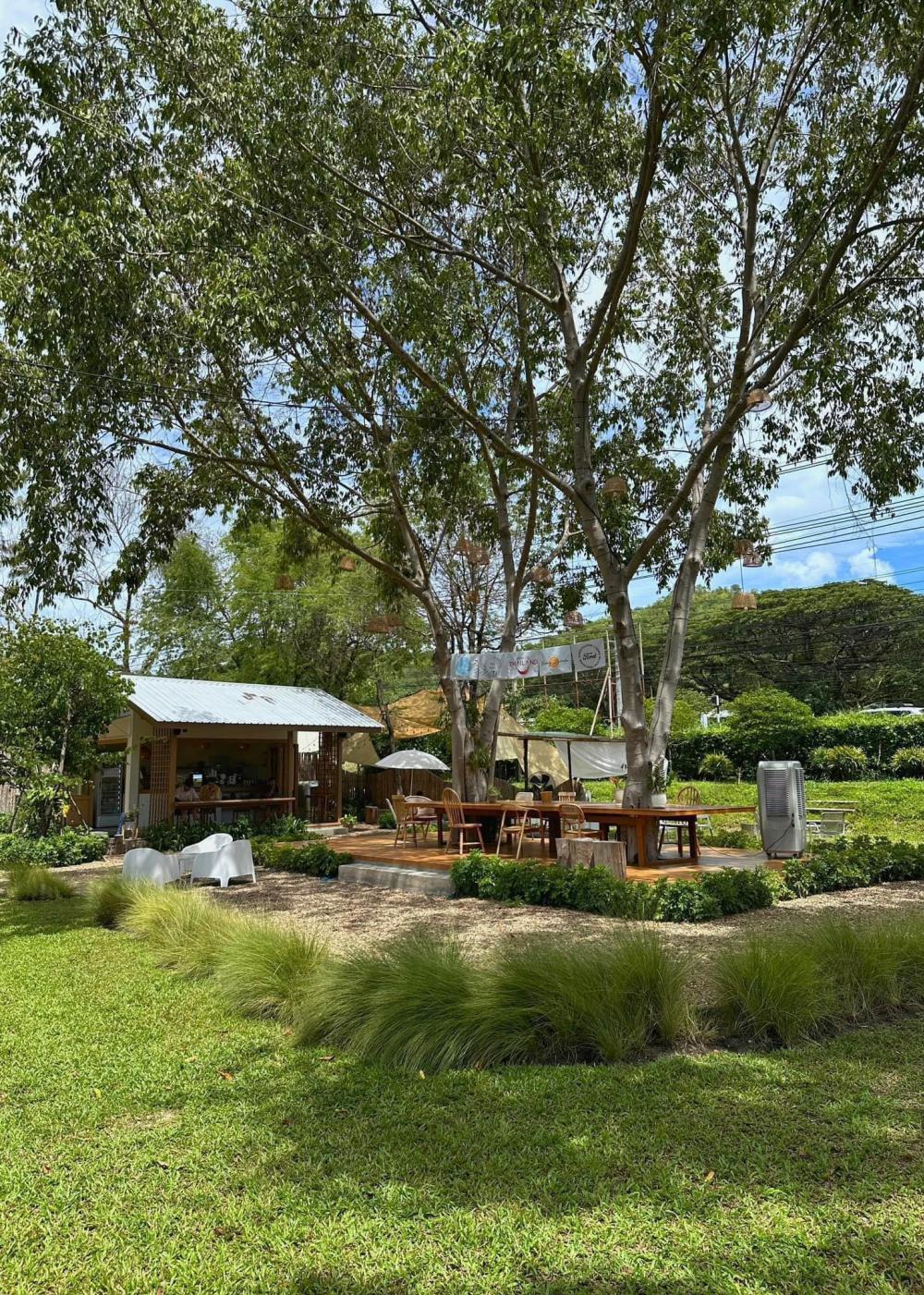 ไอเดียคาเฟ่มินิมอล นั่งชิลๆ สไตล์อยู่บ้าน รูปที่ 6