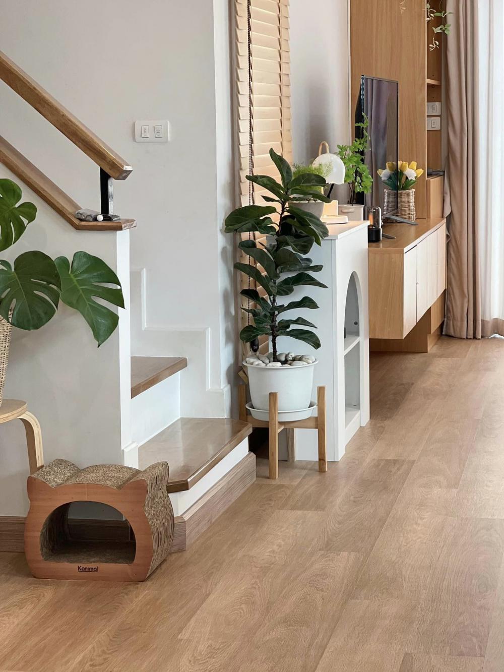 ไอเดียของแต่งบ้านเป็นไอเดีย และเลือกเฟอร์นิเจอร์แต่งบ้าน รูปที่ 5