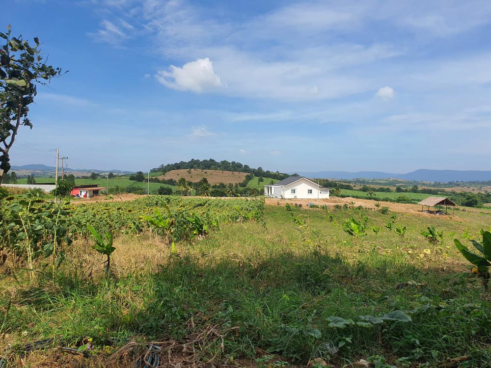 ไอเดียบ้านสวยหลังชั้นเดียว มินิมอล วิวสวยบรรยากาศดีสุดๆ รูปที่ 17