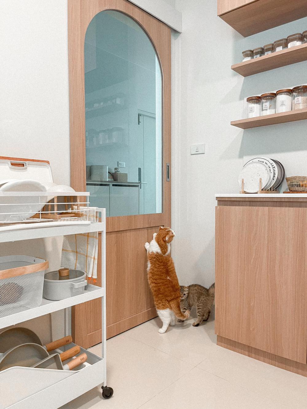 ไอเดียบ้านสไตล์มินิมอลตกแต่งภายในมินิมอล มีแมว อบอุ่น น่าอยู่ รูปที่ 10