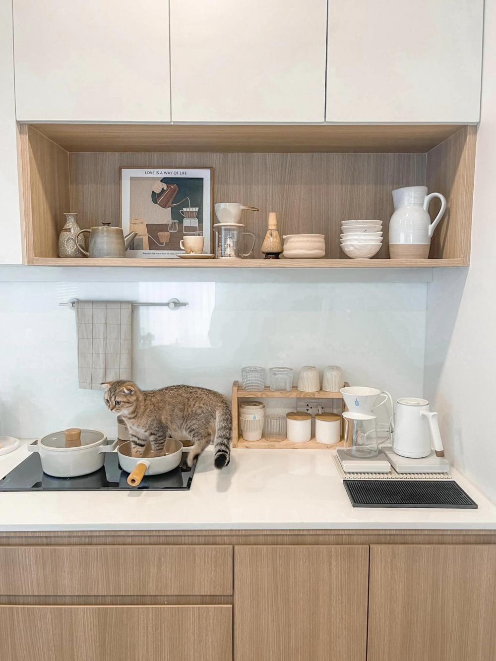 ไอเดียบ้านสไตล์มินิมอลตกแต่งภายในมินิมอล มีแมว อบอุ่น น่าอยู่ รูปที่ 12