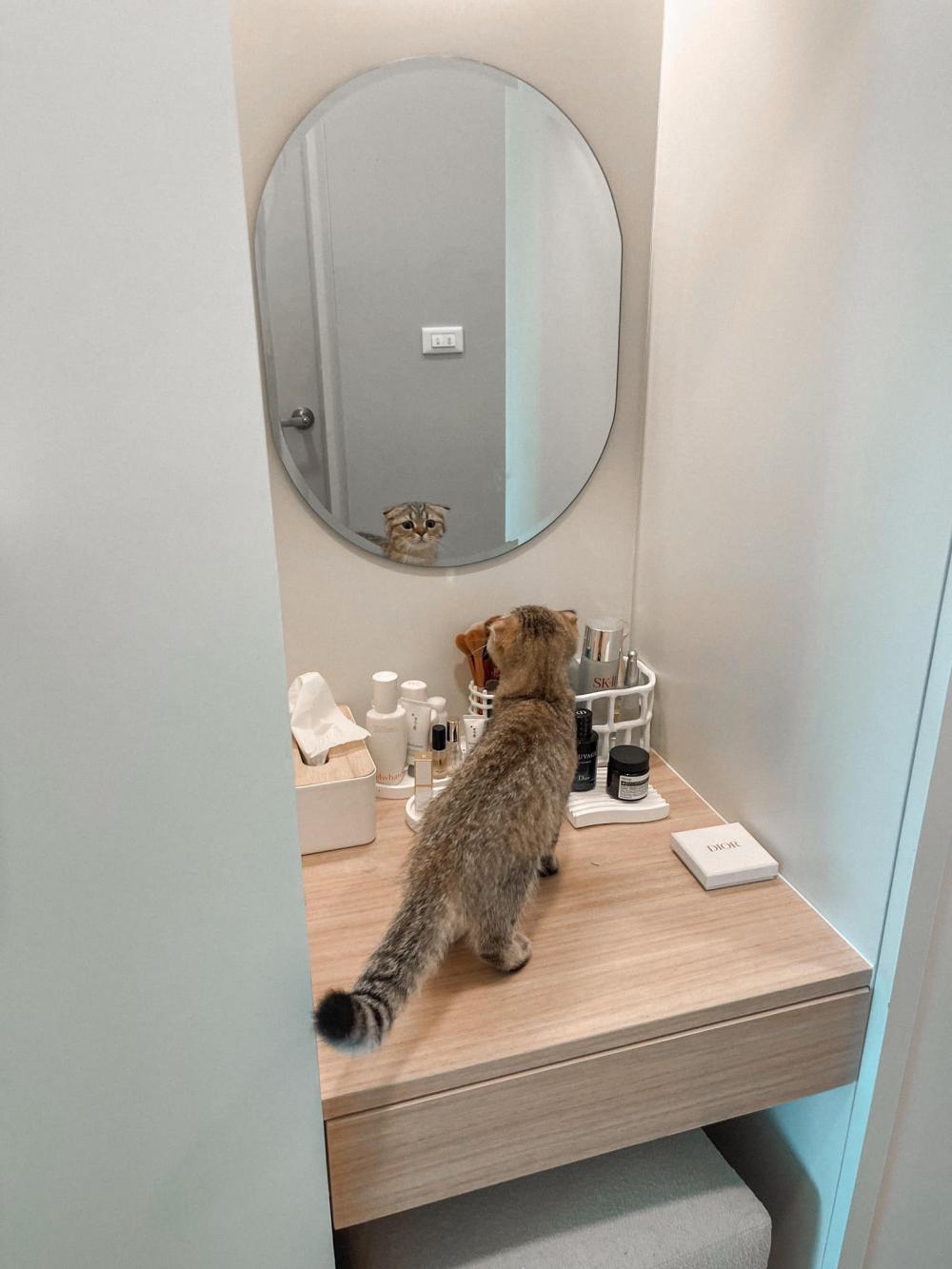 ไอเดียบ้านสไตล์มินิมอลตกแต่งภายในมินิมอล มีแมว อบอุ่น น่าอยู่ รูปที่ 17