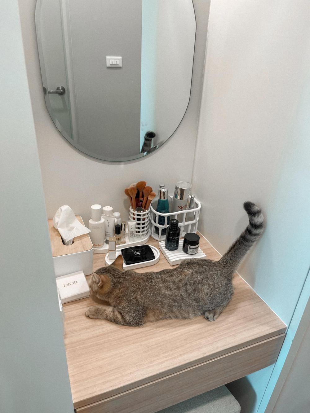 ไอเดียบ้านสไตล์มินิมอลตกแต่งภายในมินิมอล มีแมว อบอุ่น น่าอยู่ รูปที่ 18