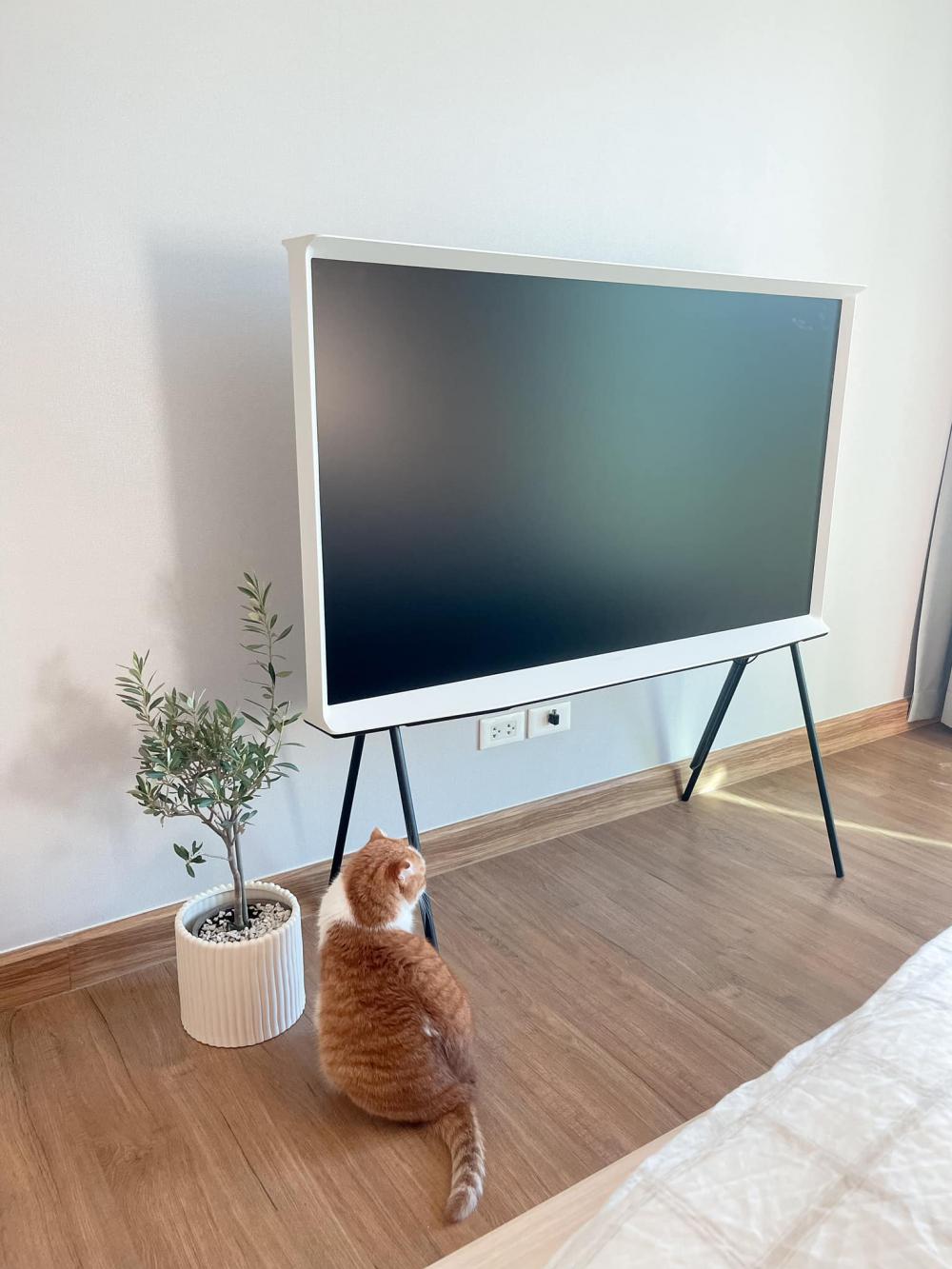 ไอเดียบ้านสไตล์มินิมอลตกแต่งภายในมินิมอล มีแมว อบอุ่น น่าอยู่ รูปที่ 24