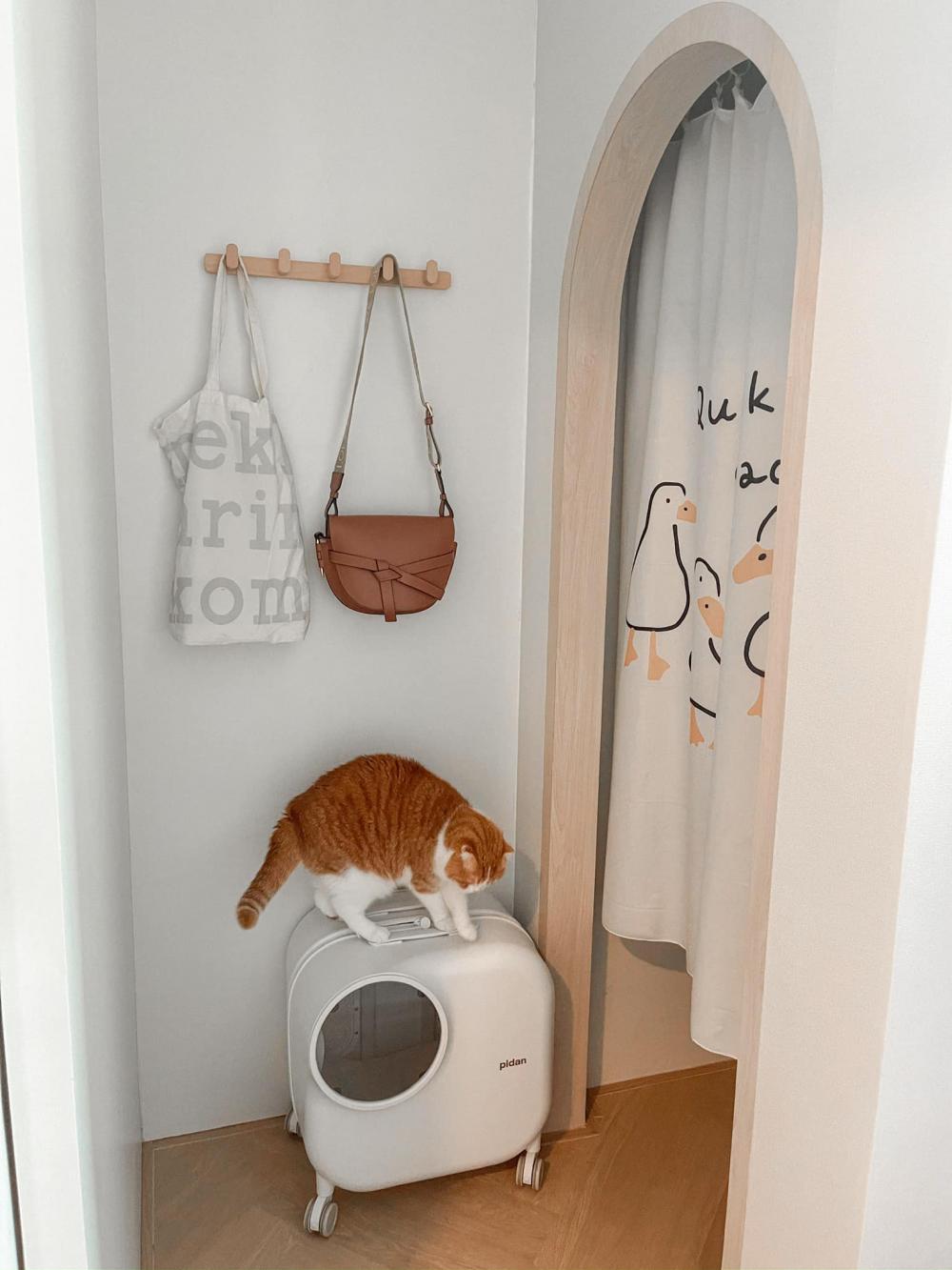 ไอเดียบ้านสไตล์มินิมอลตกแต่งภายในมินิมอล มีแมว อบอุ่น น่าอยู่ รูปที่ 28