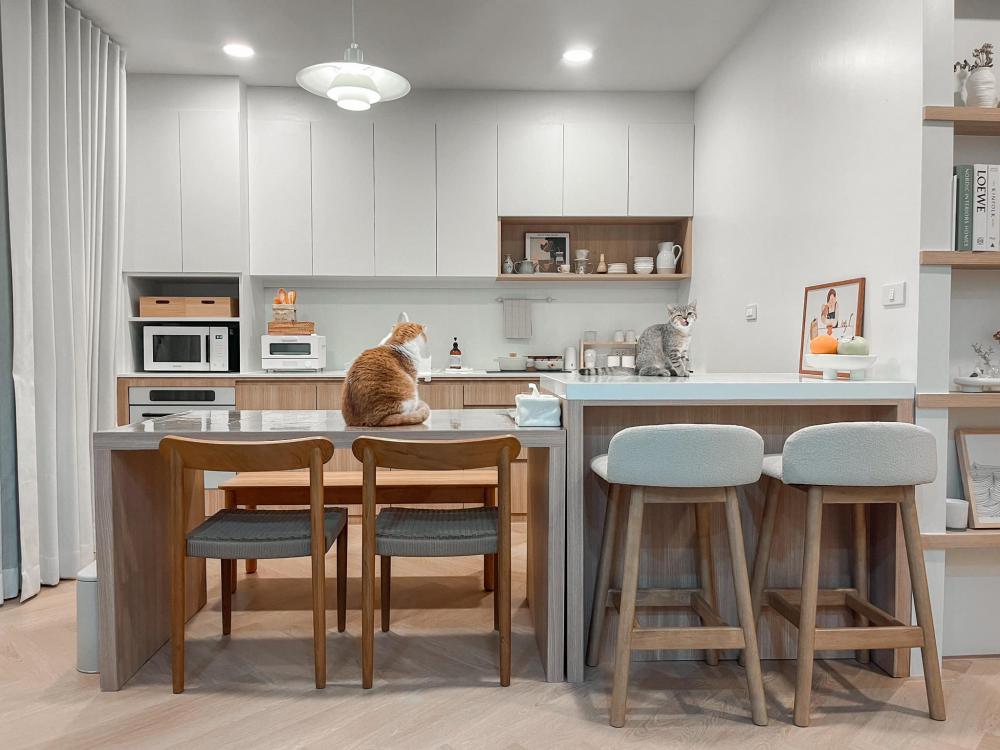 ไอเดียบ้านสไตล์มินิมอลตกแต่งภายในมินิมอล มีแมว อบอุ่น น่าอยู่ รูปที่ 29