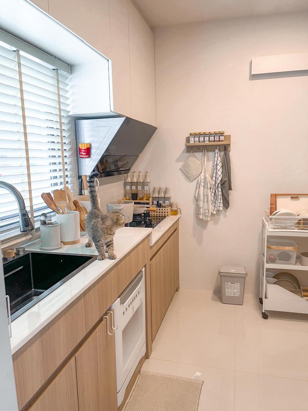 ไอเดียบ้านสไตล์มินิมอลตกแต่งภายในมินิมอล มีแมว อบอุ่น น่าอยู่ รูปที่ 42