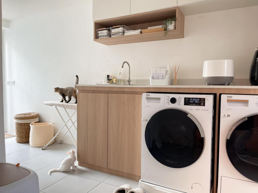 ไอเดียบ้านสไตล์มินิมอลตกแต่งภายในมินิมอล มีแมว อบอุ่น น่าอยู่ รูปที่ 44