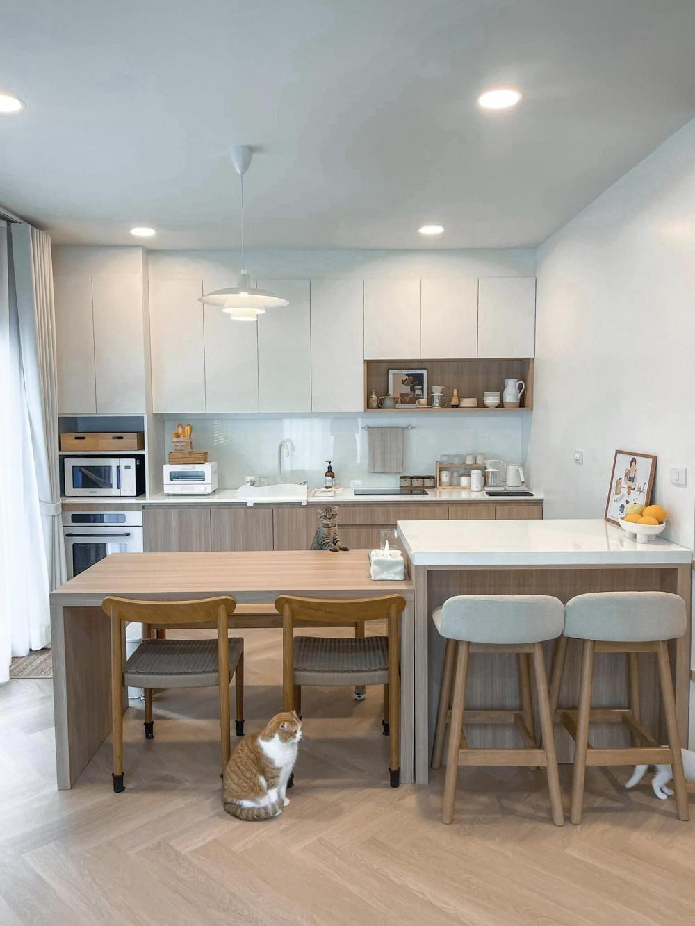 ไอเดียบ้านสไตล์มินิมอลตกแต่งภายในมินิมอล มีแมว อบอุ่น น่าอยู่ รูปที่ 47