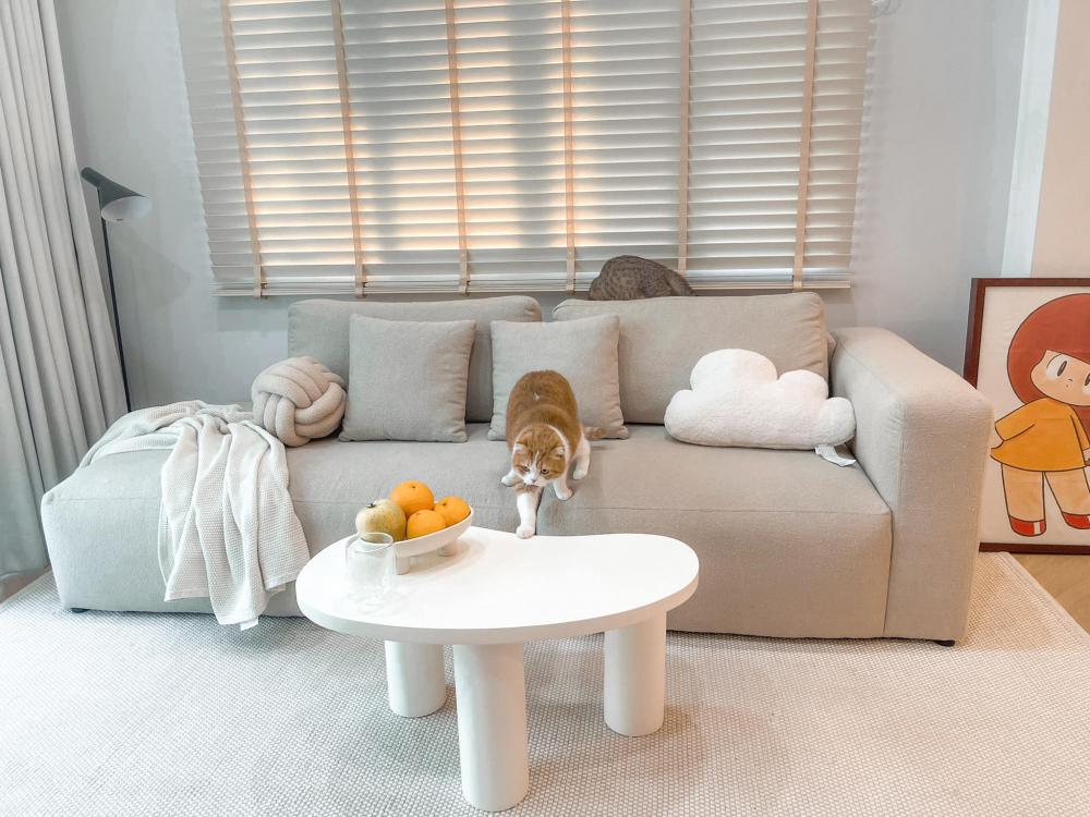 ไอเดียบ้านสไตล์มินิมอลตกแต่งภายในมินิมอล มีแมว อบอุ่น น่าอยู่ รูปที่ 48