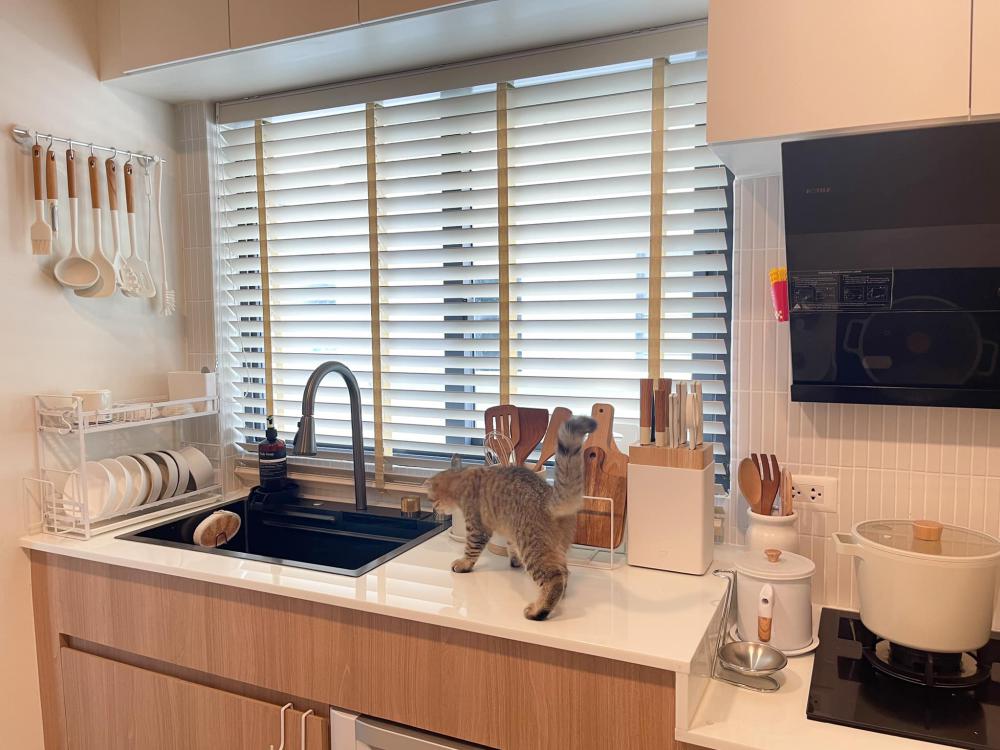 ไอเดียบ้านสไตล์มินิมอลตกแต่งภายในมินิมอล มีแมว อบอุ่น น่าอยู่ รูปที่ 58