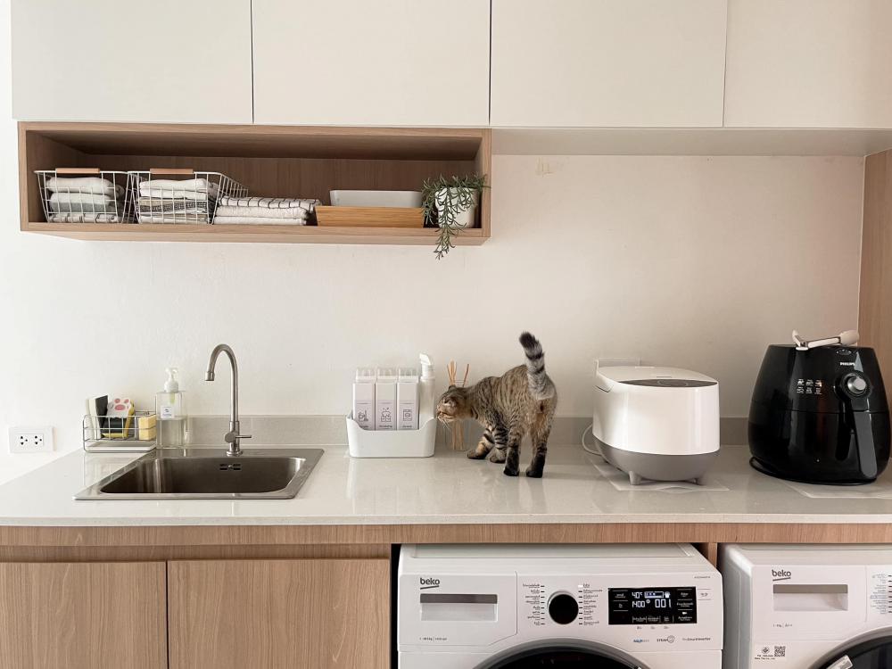 ไอเดียบ้านสไตล์มินิมอลตกแต่งภายในมินิมอล มีแมว อบอุ่น น่าอยู่ รูปที่ 35