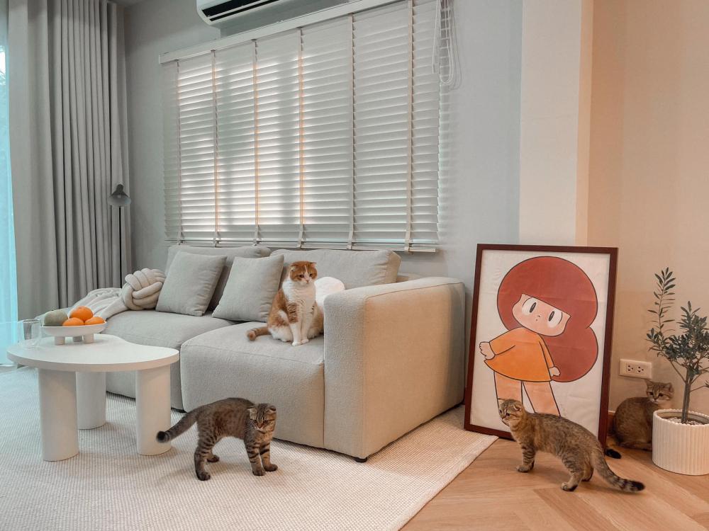 ไอเดียบ้านสไตล์มินิมอลตกแต่งภายในมินิมอล มีแมว อบอุ่น น่าอยู่ รูปที่ 15