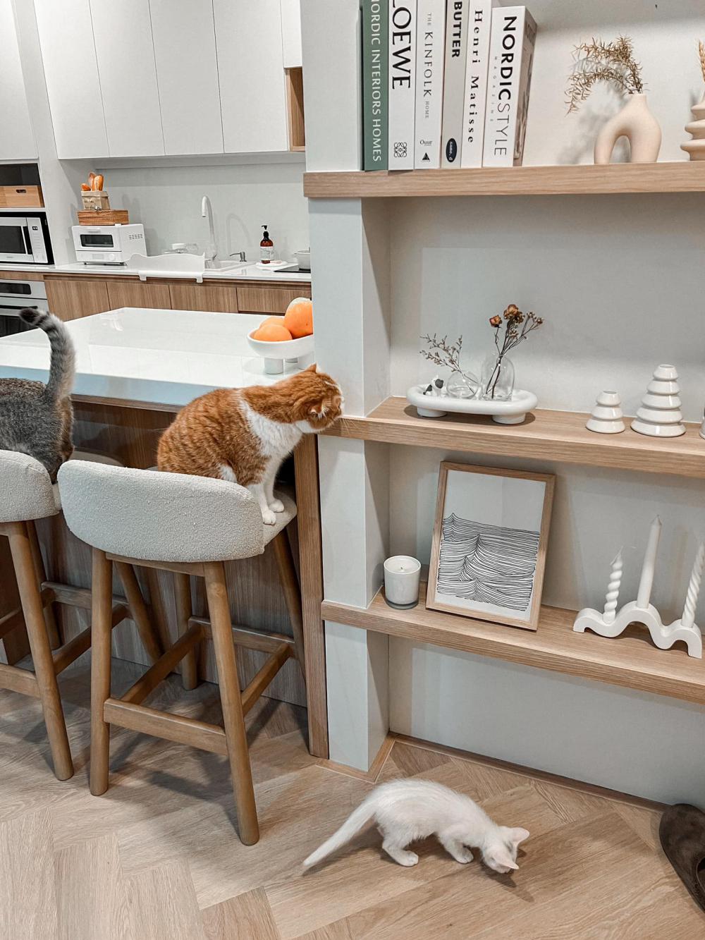 ไอเดียบ้านสไตล์มินิมอลตกแต่งภายในมินิมอล มีแมว อบอุ่น น่าอยู่ รูปที่ 19