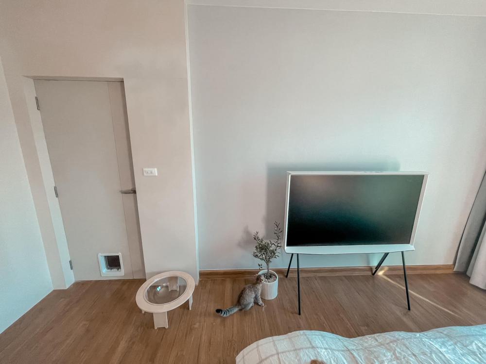 ไอเดียบ้านสไตล์มินิมอลตกแต่งภายในมินิมอล มีแมว อบอุ่น น่าอยู่ รูปที่ 21