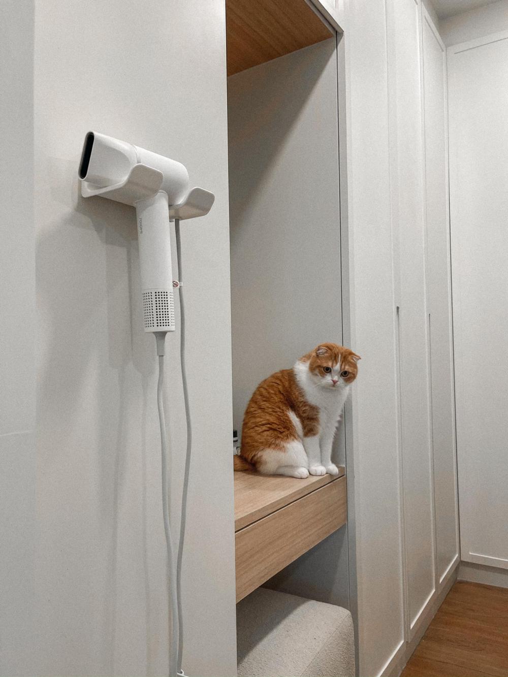 ไอเดียบ้านสไตล์มินิมอลตกแต่งภายในมินิมอล มีแมว อบอุ่น น่าอยู่ รูปที่ 4