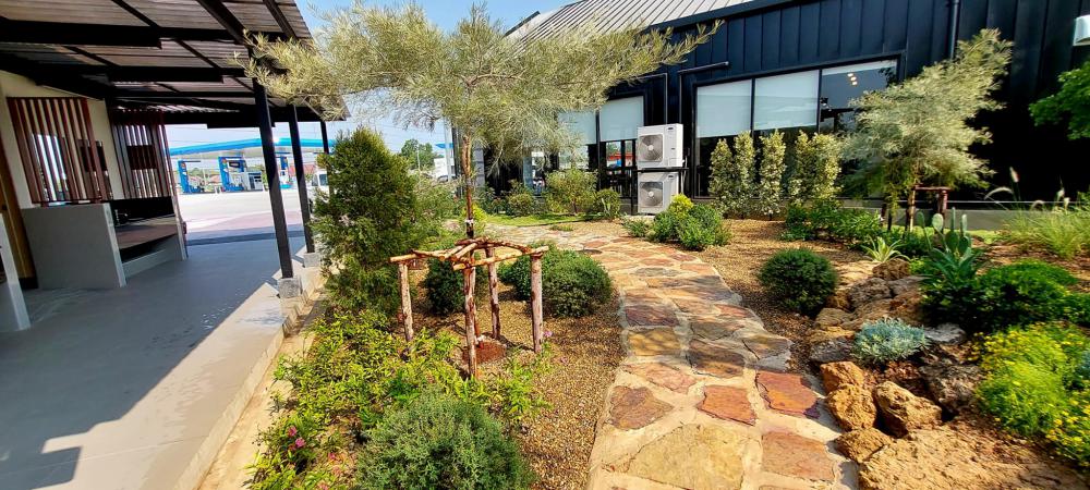 ไอเดียจัดสวนอเมซอนในปั้ม ปตท. รูปที่ 10