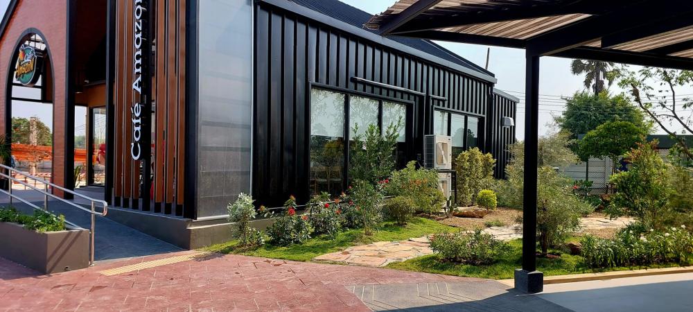 ไอเดียจัดสวนอเมซอนในปั้ม ปตท. รูปที่ 12