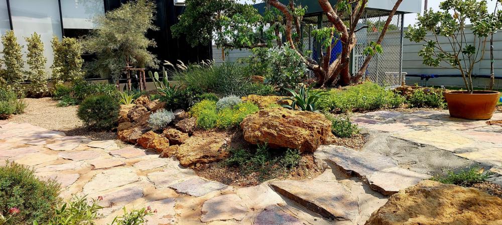 ไอเดียจัดสวนอเมซอนในปั้ม ปตท. รูปที่ 16