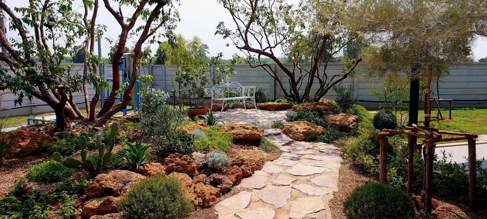 ไอเดียจัดสวนอเมซอนในปั้ม ปตท. รูปที่ 17