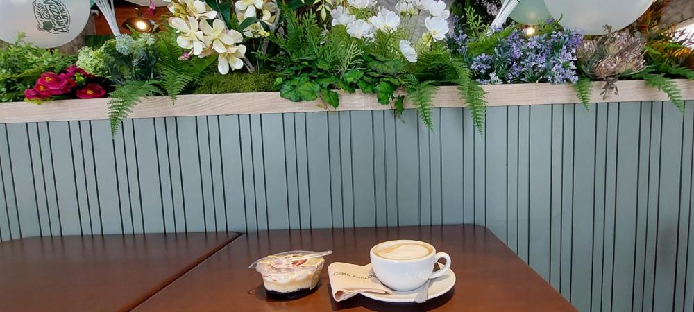 ไอเดียจัดสวนอเมซอนในปั้ม ปตท. รูปที่ 20