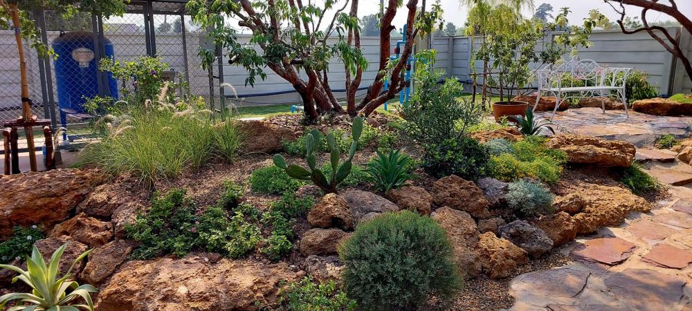 ไอเดียจัดสวนอเมซอนในปั้ม ปตท. รูปที่ 6