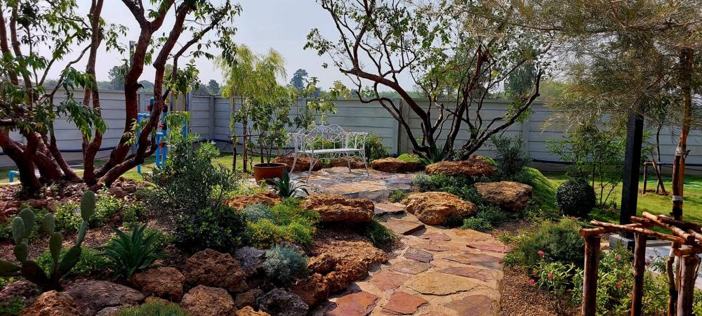 ไอเดียจัดสวนอเมซอนในปั้ม ปตท. รูปที่ 7