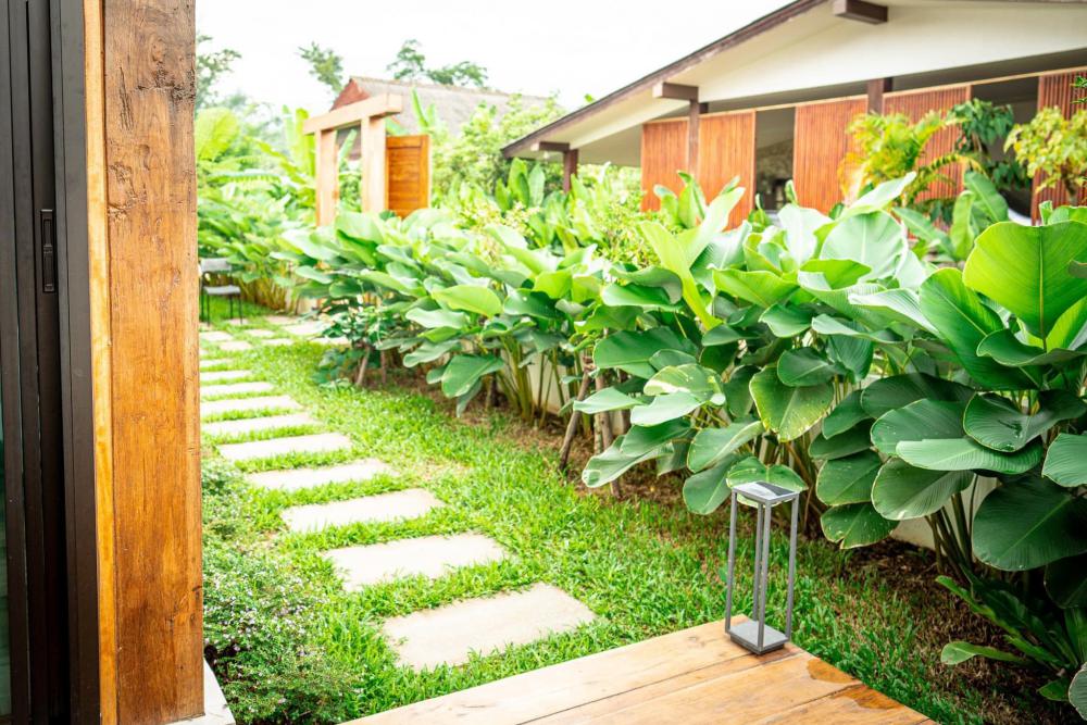 รีโนเวทบ้านไม้ บ้านอินท์ Baan inn รูปที่ 13