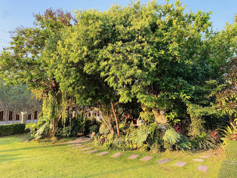 บ้านนอร์ดิกมินิมอลมีดาดฟ้า จัดสวนสวย ร่มรื่นน่าอยู่มาก รูปที่ 11