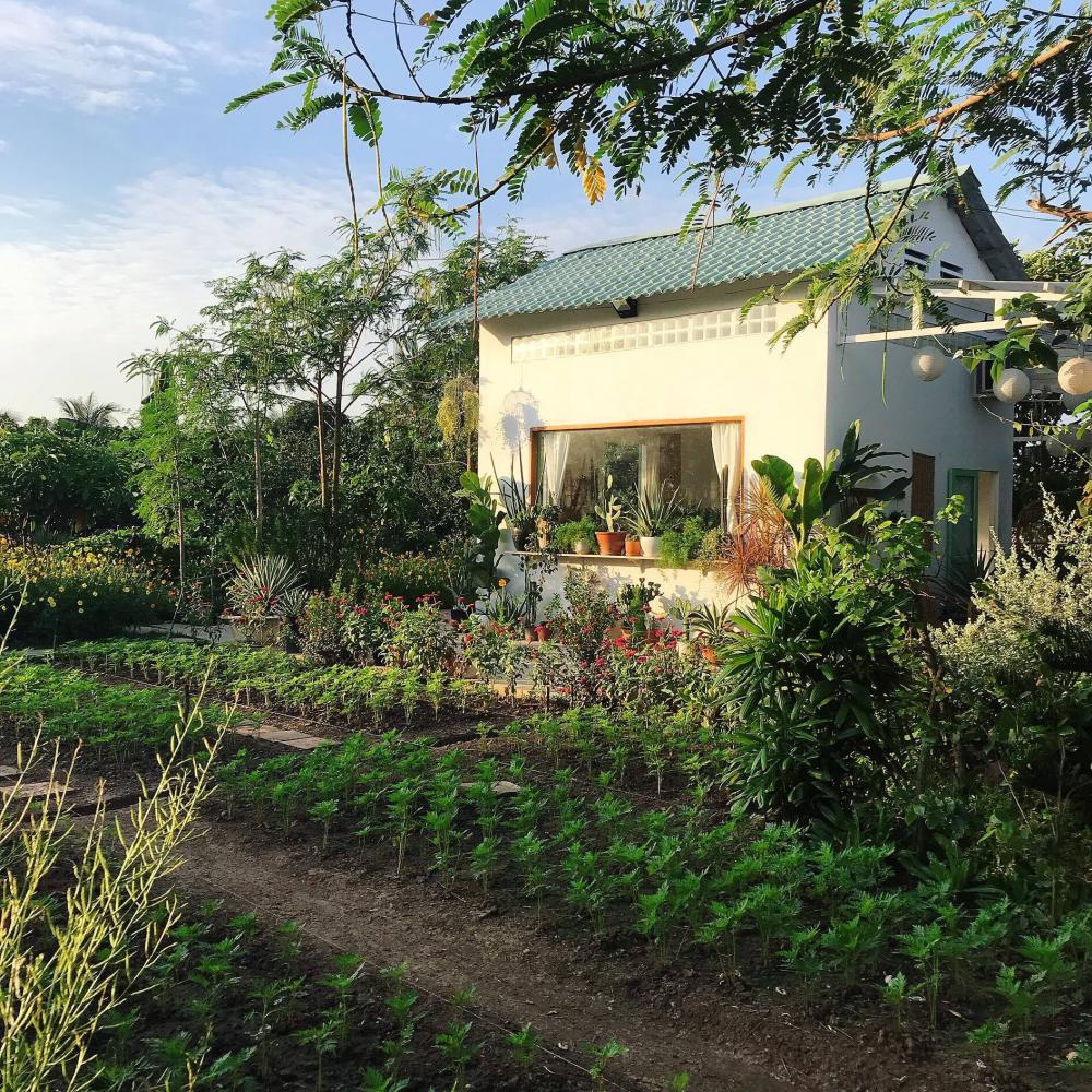 ไอเดียรีโนเวทบ้านหลังเล็กและจัดสวน สวยงาม น่ารัก รูปที่ 12