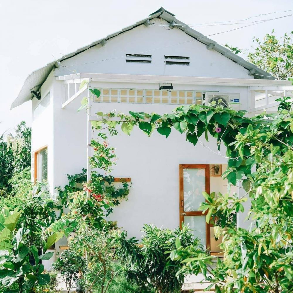 ไอเดียรีโนเวทบ้านหลังเล็กและจัดสวน สวยงาม น่ารัก รูปที่ 7