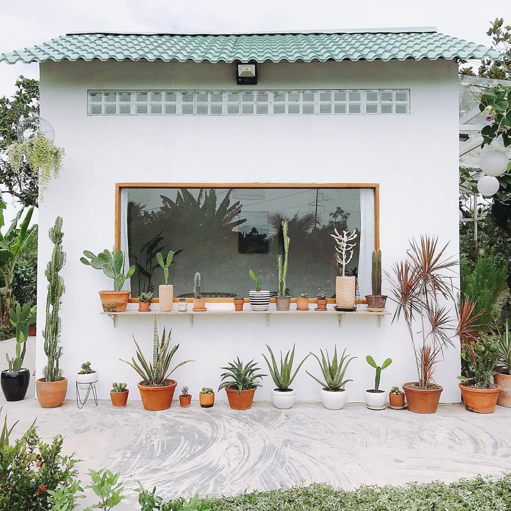 ไอเดียรีโนเวทบ้านหลังเล็กและจัดสวน สวยงาม น่ารัก รูปที่ 8