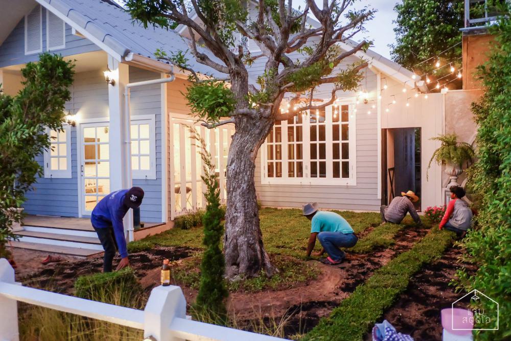 แชร์ไอเดียต้นไม้ใหญ่ ไม้ประธานของบ้าน รูปที่ 6