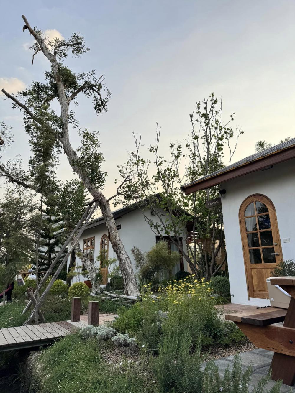 ไอเดียบ้านญี่ปุ่นขนาดเล็ก สวนดอกไม้สนามหญ้า มีลำธารไหลผ่าน บ้านสวนเวลาเขาใหญ่ รูปที่ 10